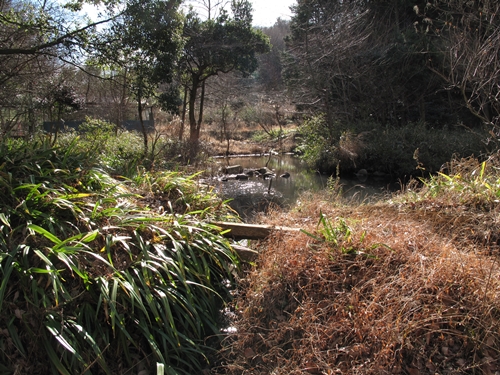 新治市民の森-06