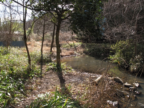 新治市民の森-07