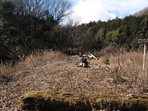 新治市民の森-09