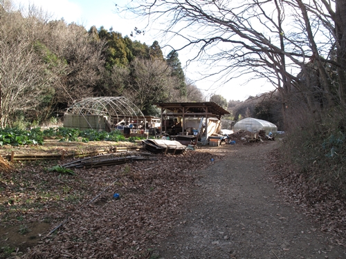 新治市民の森-15