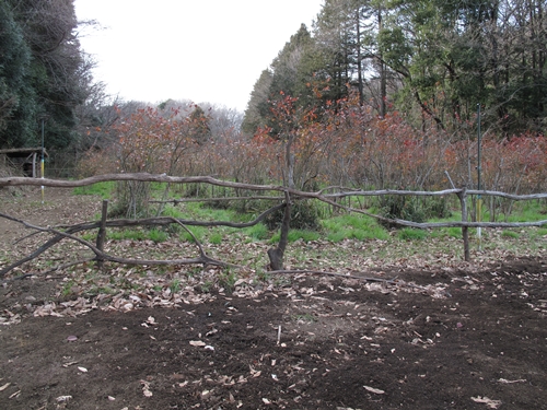 新治市民の森-16