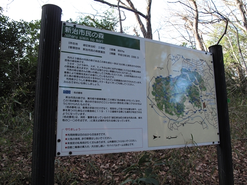 新治市民の森-22