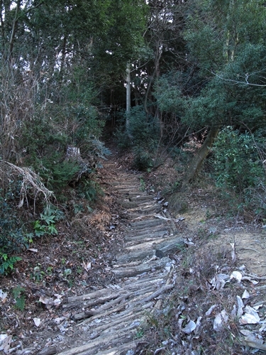 新治市民の森-24