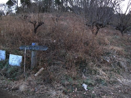 新治市民の森-27