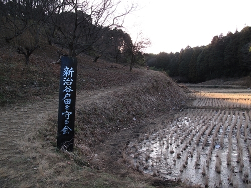 新治市民の森-28