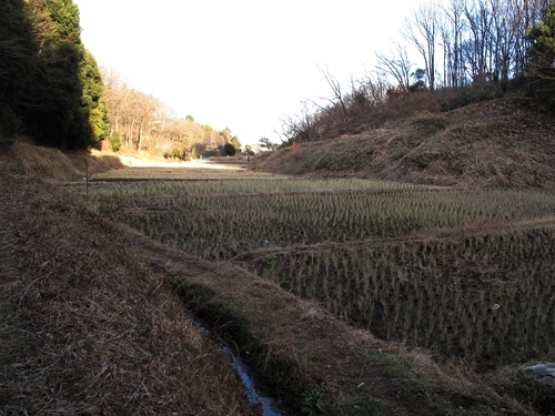 新治市民の森-32