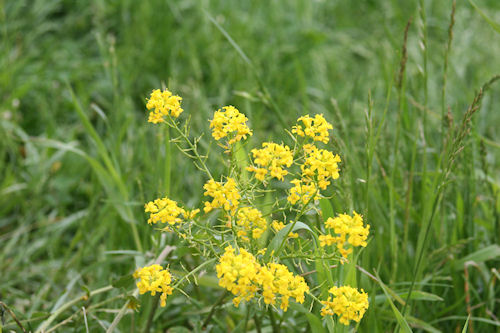 大倉山展望台06