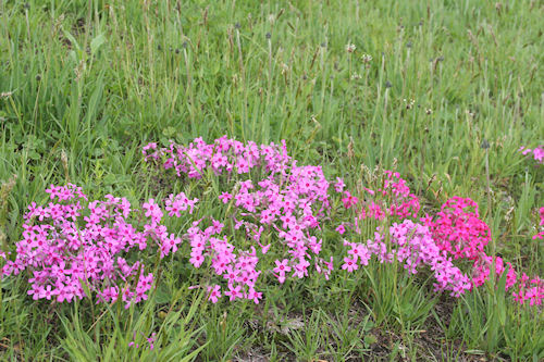 大倉山展望台07