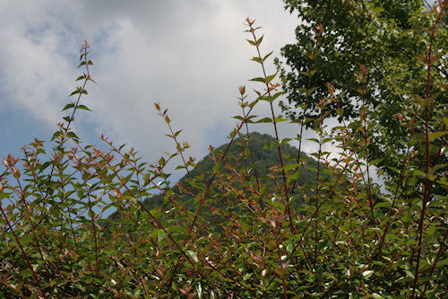 安佐サービスエリアより02