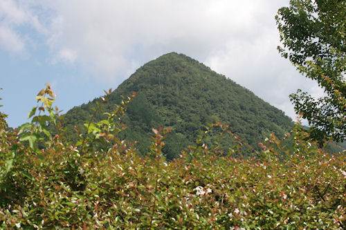 安佐サービスエリアより03