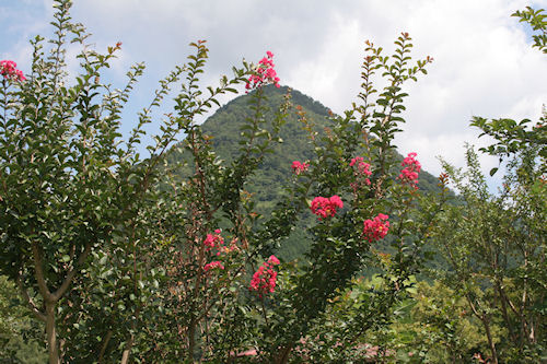 安佐サービスエリアより05