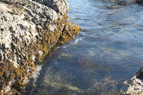 房総半島42仁右衛門島