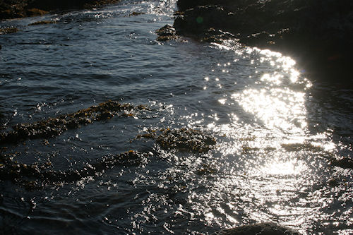 房総半島46仁右衛門島