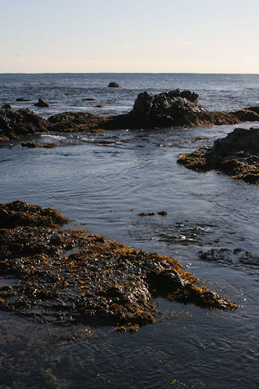 房総半島47仁右衛門島