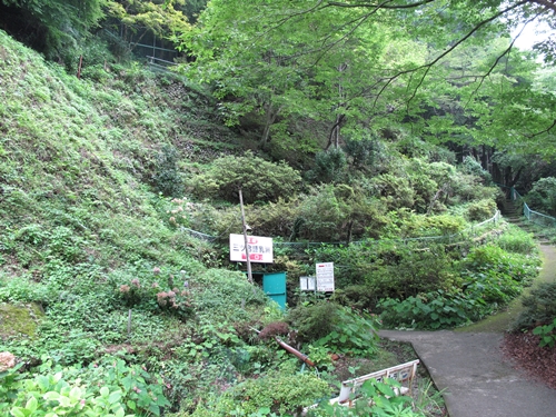 三ツ合鍾乳洞07