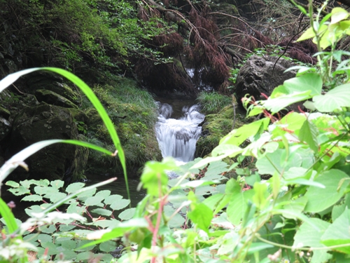秋川渓谷07