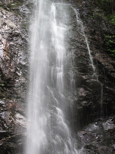 払沢の滝05