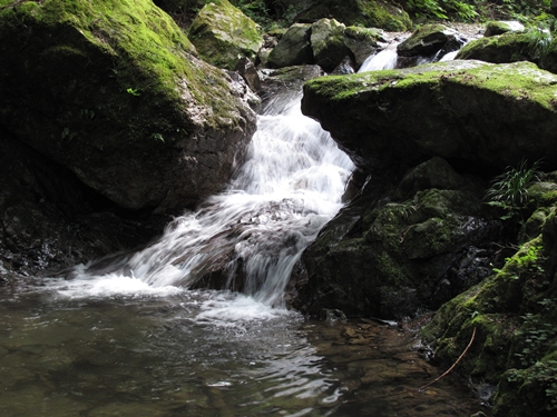 払沢の滝08下流