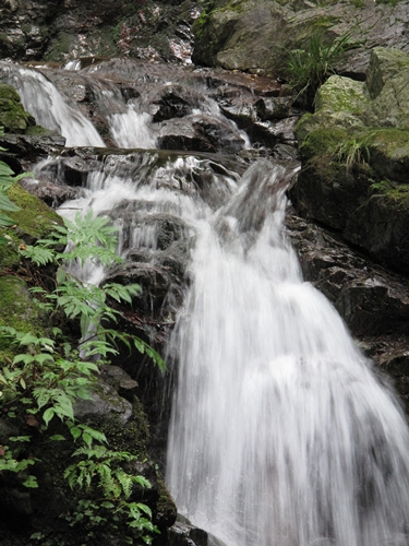 払沢の滝09下流