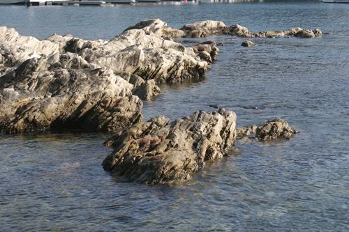 三浦半島・宮川湾04