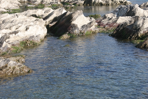 三浦半島・宮川湾05