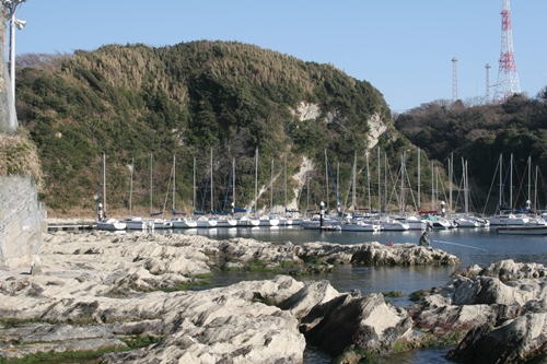 三浦半島・宮川湾09