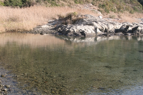 三浦半島・宮川湾12