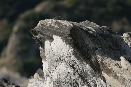 三浦半島・宮川湾19