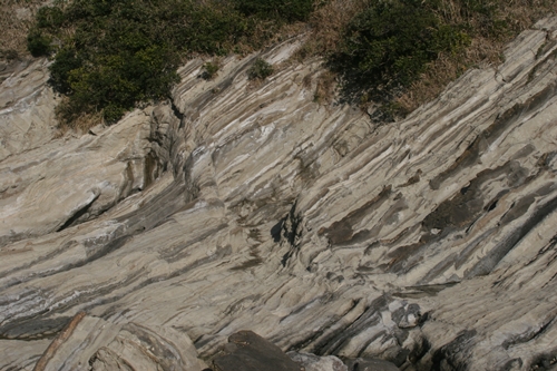 三浦半島・宮川湾27