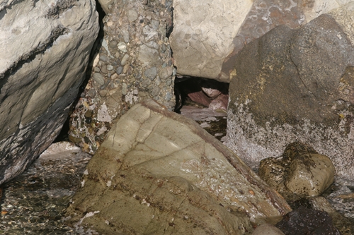 三浦半島・宮川湾31