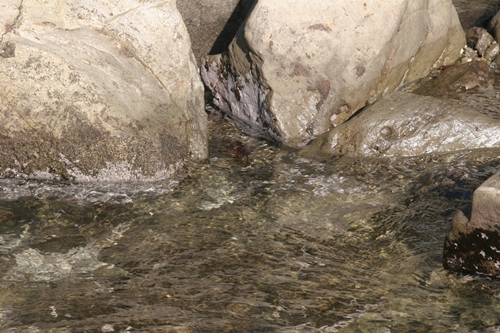 三浦半島・宮川湾32