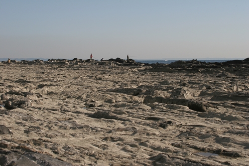 三浦半島・宮川湾37