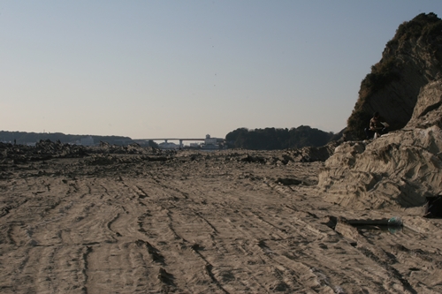 三浦半島・宮川湾39