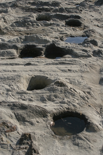 三浦半島・宮川湾40