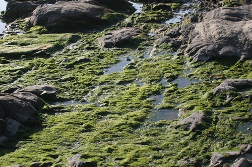 三浦半島・宮川湾47