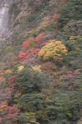 日光44華厳の滝付近