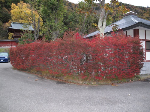 日光03中禅寺湖畔