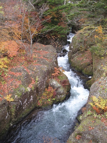 日光05竜頭の滝上流