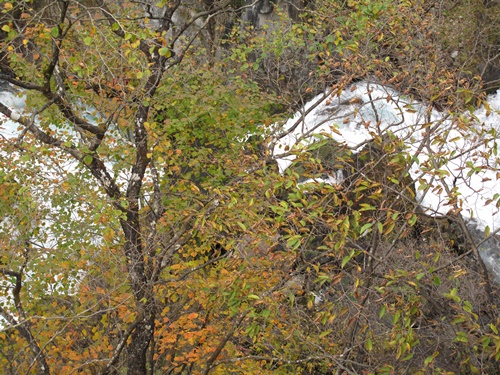 日光37華厳の滝下流