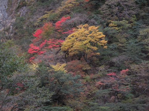 日光42華厳の滝付近